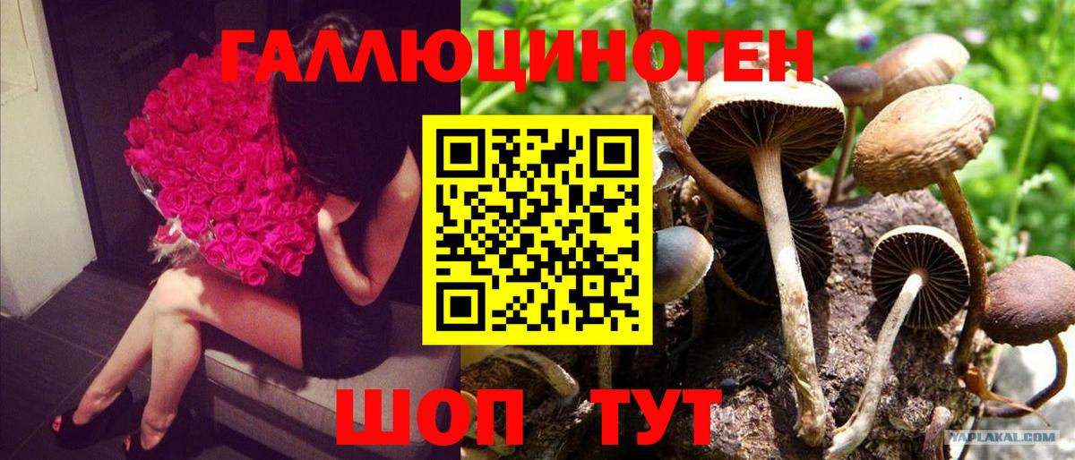 Псилоцибиновые грибы мицелий  Галлюциногенные грибы мухоморы  Вход с VPN  Белорецк 