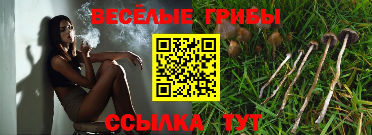 Псилоцибиновые грибы ЛСД Белорецк